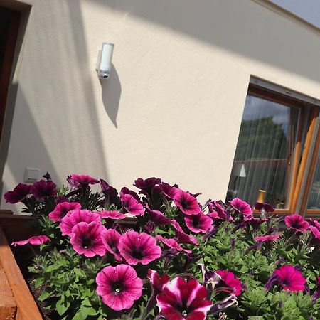 Ferienwohnung Pimer Ranschbach Eksteriør bilde